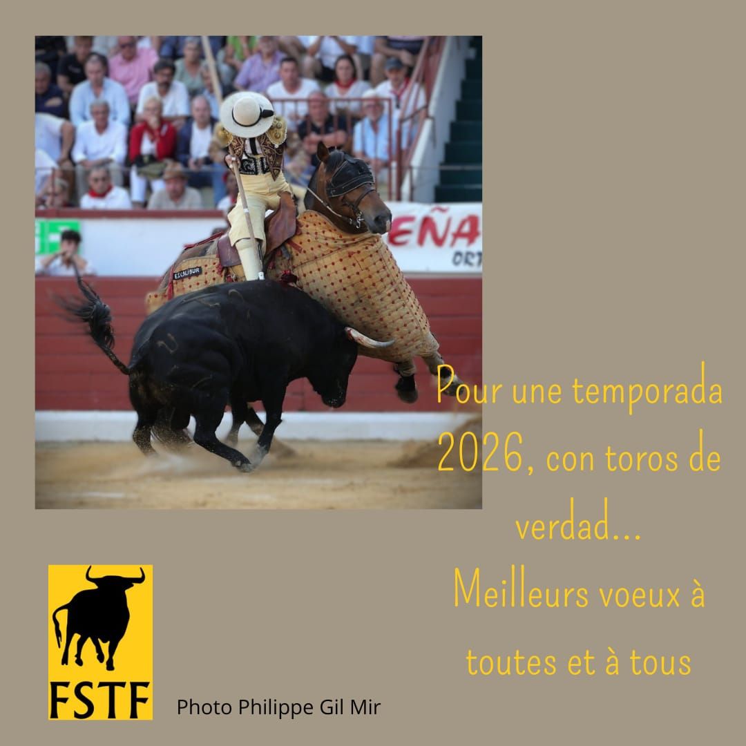 Fstf Fra Fédération FSTF